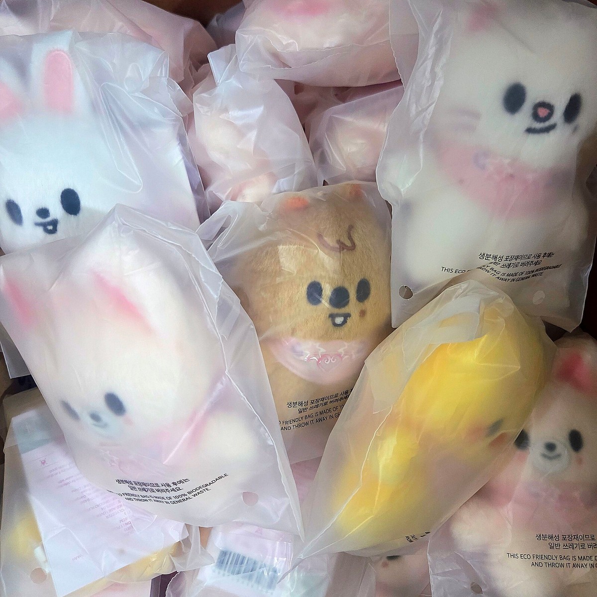 StrayKids SKZ 5clock テディベア ぬいぐるみ ハン Stray Kids - SKZOO