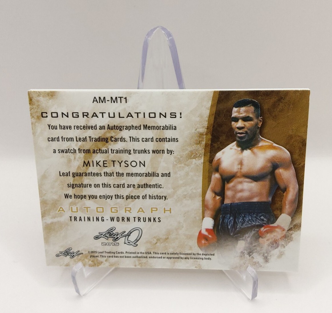 BOXING○IRON マイク・タイソン 直筆サインフォトA