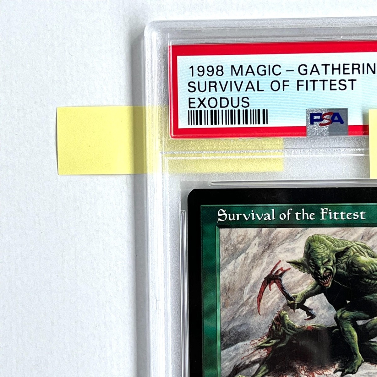 MTG Survival of the Fittest 適者生存 英語版 マジックザギャザリング