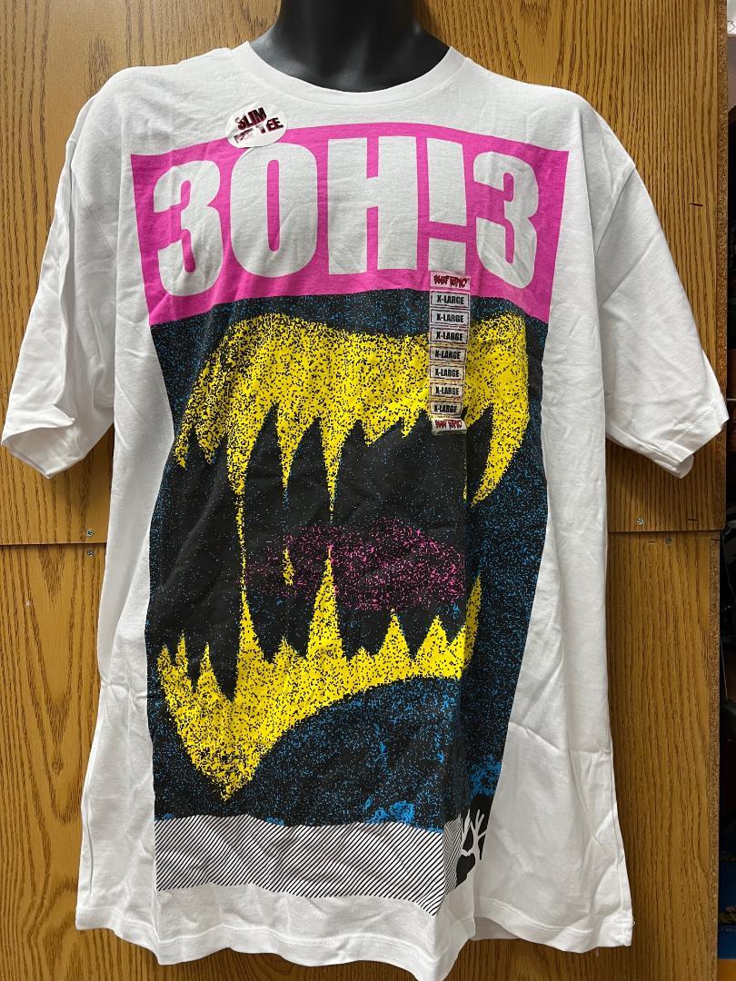 ハイロウズ バームクーヘン Tシャツ ザ・ハイロウズ バームクーヘン