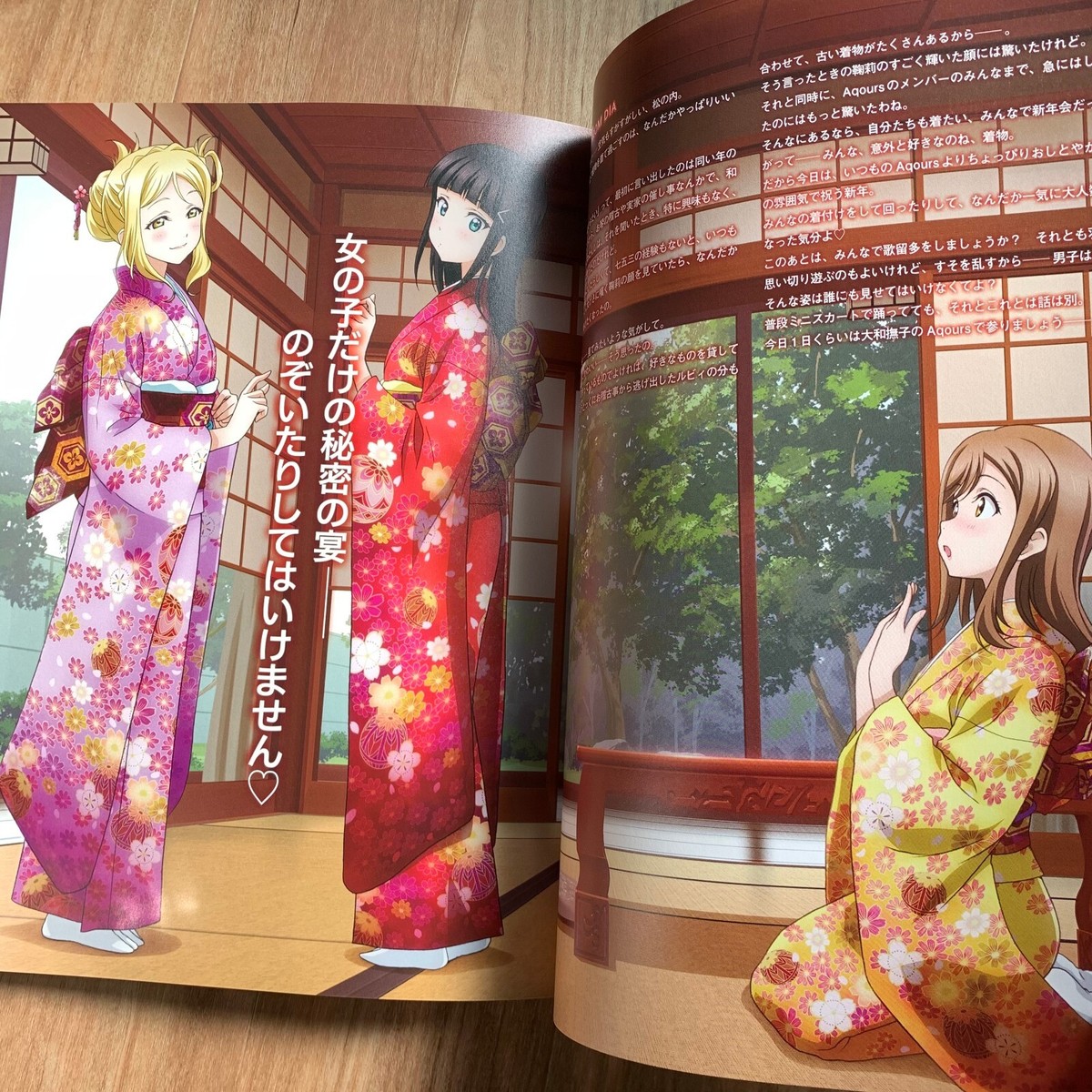 Love Live! Sunshine!! Aqours FIRST FAN BOOK School Idol Group