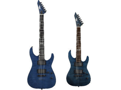 BanG Dream! M-II SAYO Mini Roselia Hikawa Saya Model ESP x Bandori