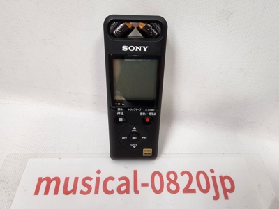 SONY Linear PCM-A10 IC Recorder 16GB High-Resolution Recording | eBay