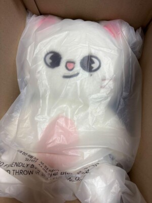 Stray Kids SKZOO Jiniret Official Plush Teddy Bear Ver. 5'clock