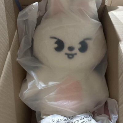 み*ん様 テディベア ぬいぐるみ teddybear SKZOOリービット Le Stray