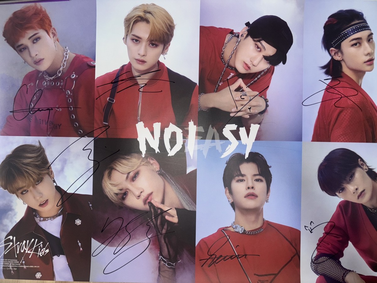 Stray Kids スキズ メンバー全員直筆サイン入りポストカード Stray