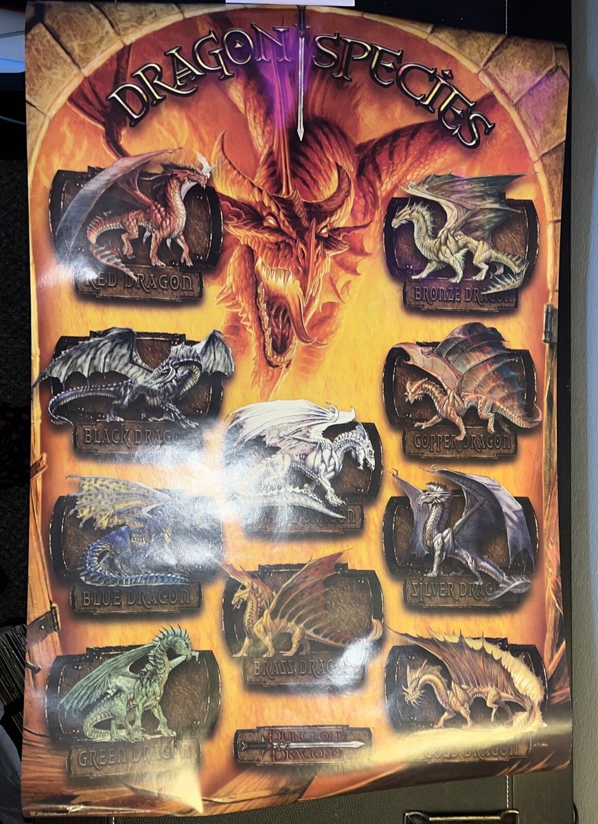 非売品 Dungeons & Dragons B1ポスター 非売品 Dungeons & Dragons B1