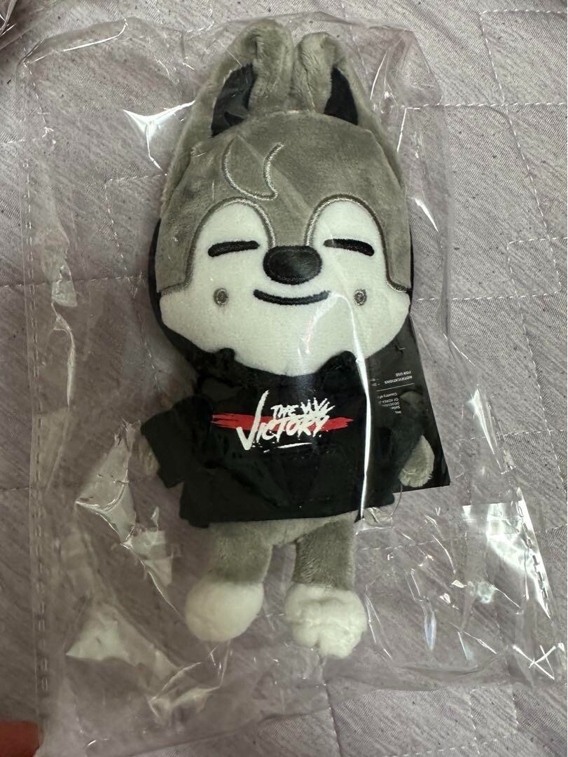 StrayKids MD SKZOO テディベア ウルフチャン バンチャン SKZOO PLUSH