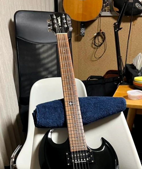 EDWARDS E-K-130VP DIR EN GREY Kaoru Model Black JAPANESE ZOMBIE