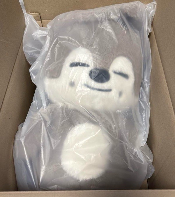 SKZOO】テディベア トェッキ straykids Stray Kids - StrayKids