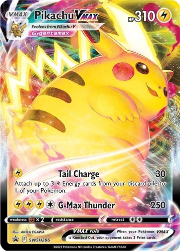 PSA 10 Pikachu Vmax 123/S-P Pika Campaign Promo 2020 Pokemon Card