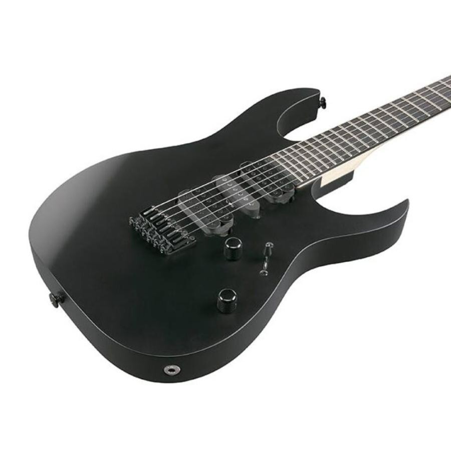 Ibanez RGシリーズ 9弦エレキギター 黒 Ibanez RGシリーズ 9弦エレキ