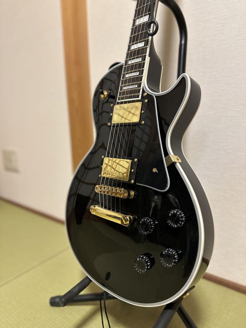 Grassroots G-LP-CTM ・ARIA PROⅡ AB-10PLUS 【公式通販】