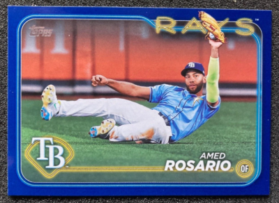 Amed Rosario ルーキー直書き直筆サインカード 世界に1枚限定！ Amed