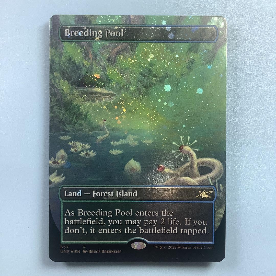 mtg 繁殖池 ディセンション 英語 初版 foil mtg 繁殖池 ディセンション