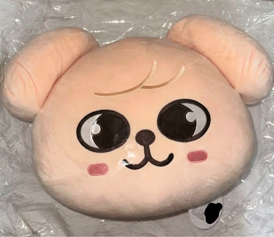 スンミン お買い得品 Puppym パピーム グッズ 24点セット パピーム