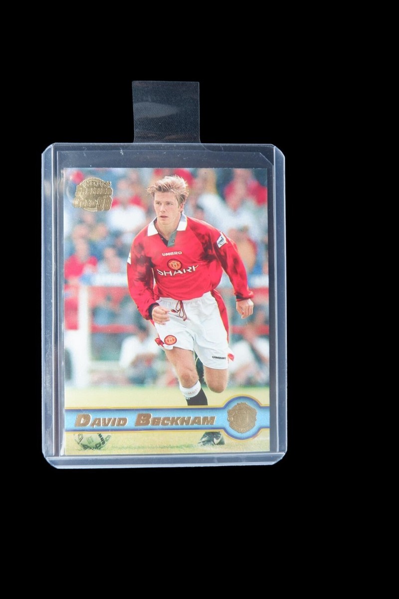 Merlin's Premier Gold Beckhamベッカム