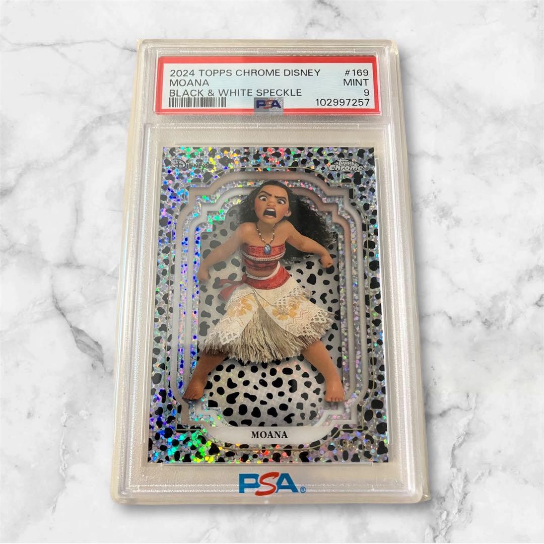 WEBくじ ドルフィンウェーブ B賞 A3ビジュアルパネル 全5種セット