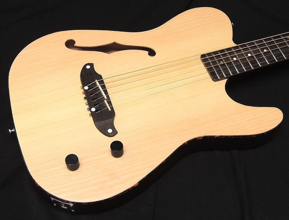 SCHECTER OL-FL-P SNTL Oriental Line Thin Body F Hole Electric