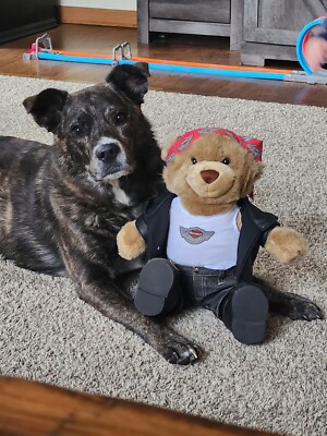 ぬいぐるみ Harley-Davidson Anniversary Bear 2003 2003 Harley