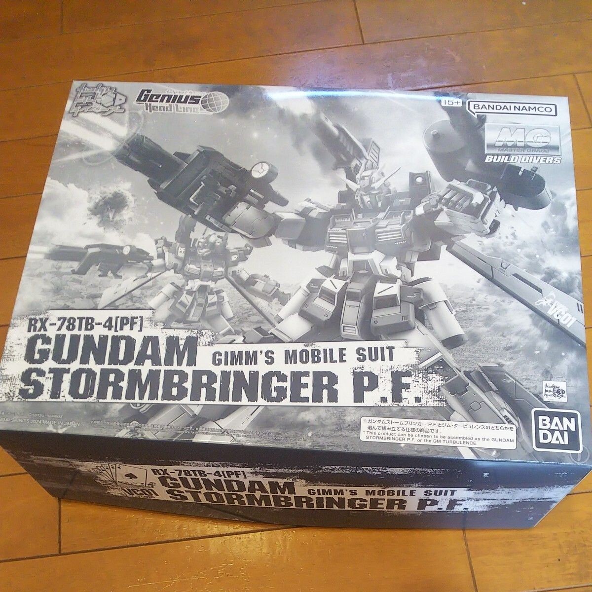 MG 1/100 Gundam Stormbringer P.F. Build Divers Model Kit Premium