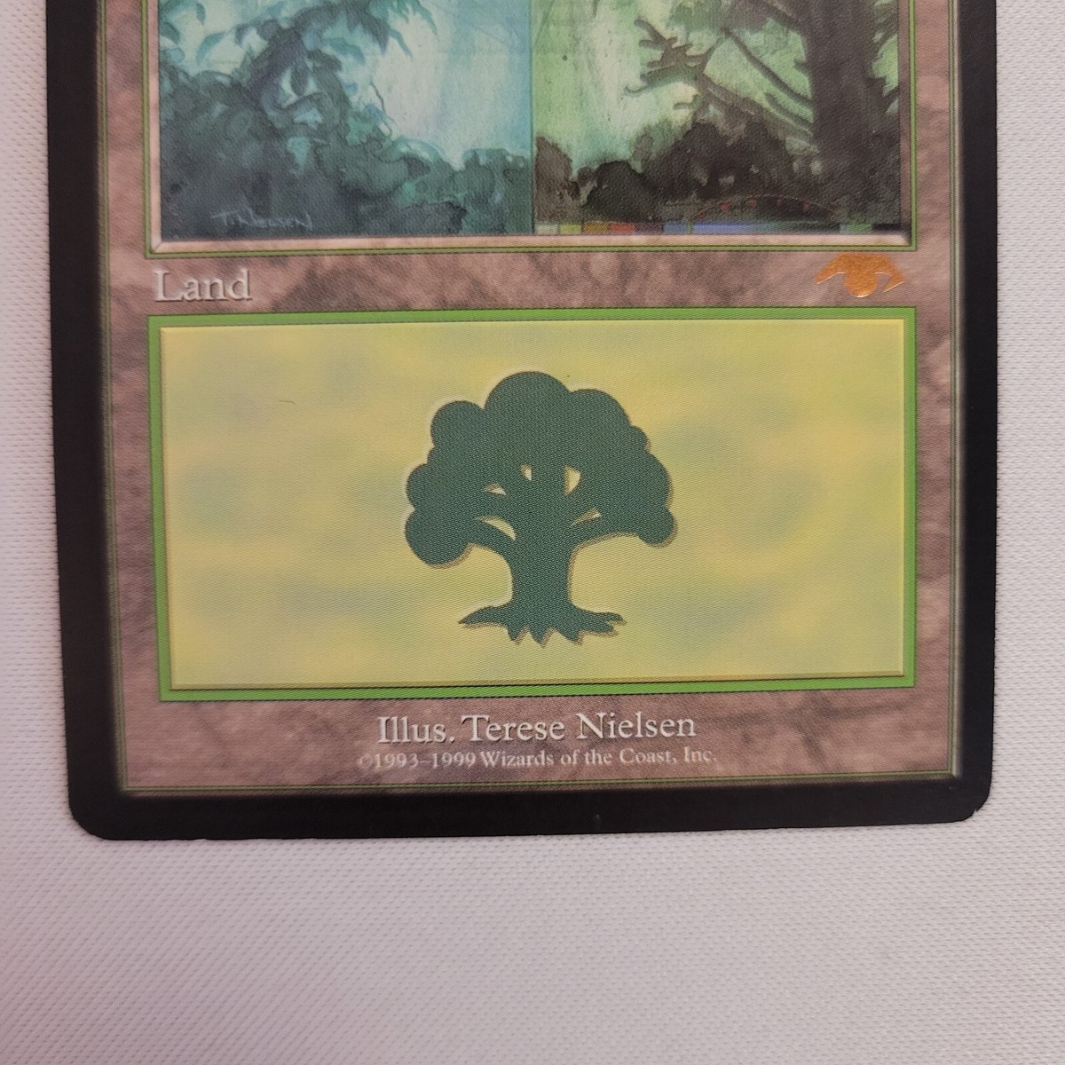 Guru Forest English Land MTG Magic the Gathering | eBay