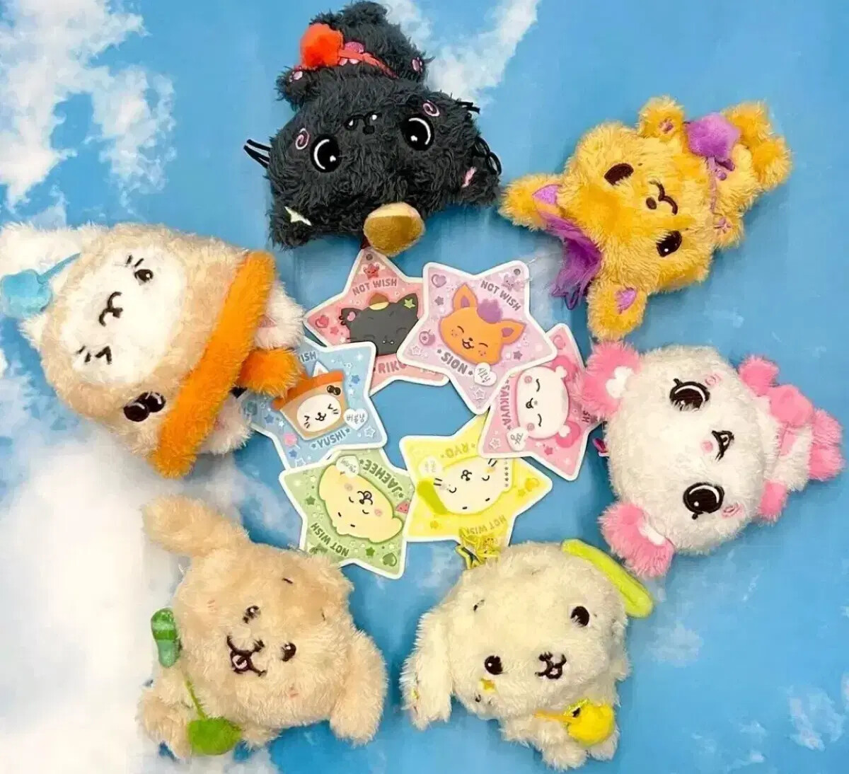 nct Wish 10cm Doll Kuri Bubble Night Bang Sakuya riku Yuushi | eBay