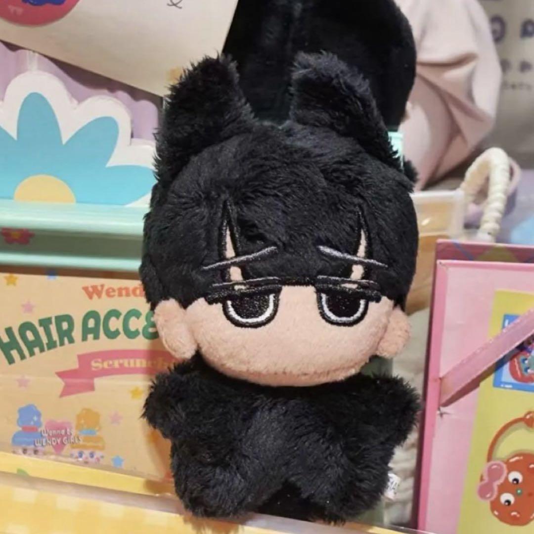 The Boyz Sunwoo Plush Toy 10cm Master Unused FedEx DHL | eBay