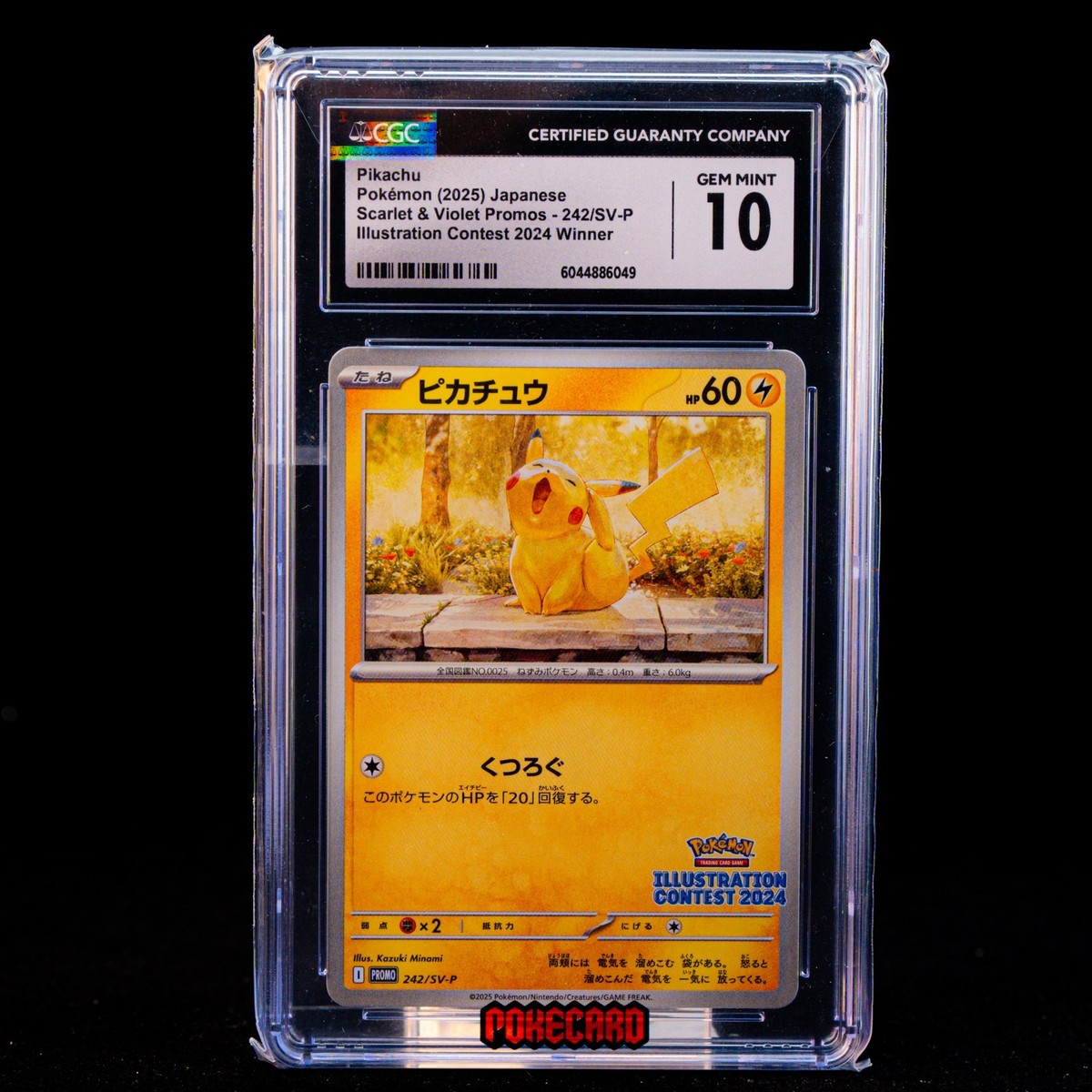 PSA10】ピカチュウ イラストレーションコンテスト2024 PSA10 242/SV-P