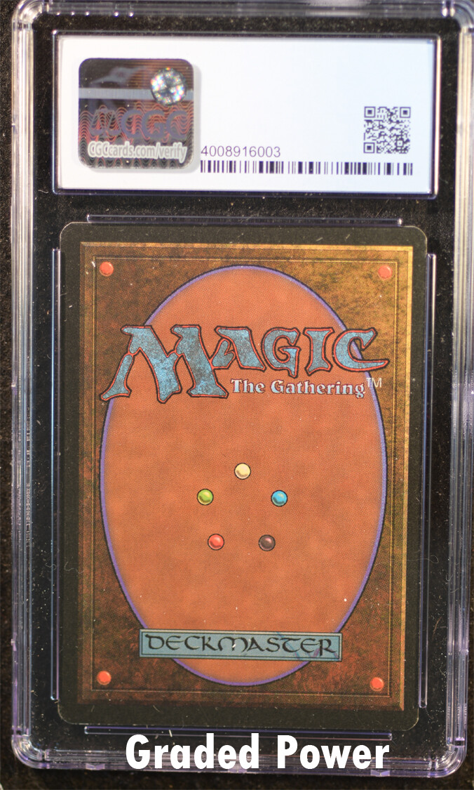 Angus Mackenzie Signed サインド 英語版 MTG Angus Mackenzie Signed