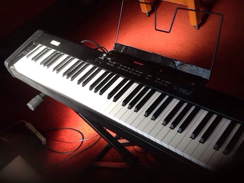 KORG キーボード sp-100 Korg SP-100 Digital Piano with case and