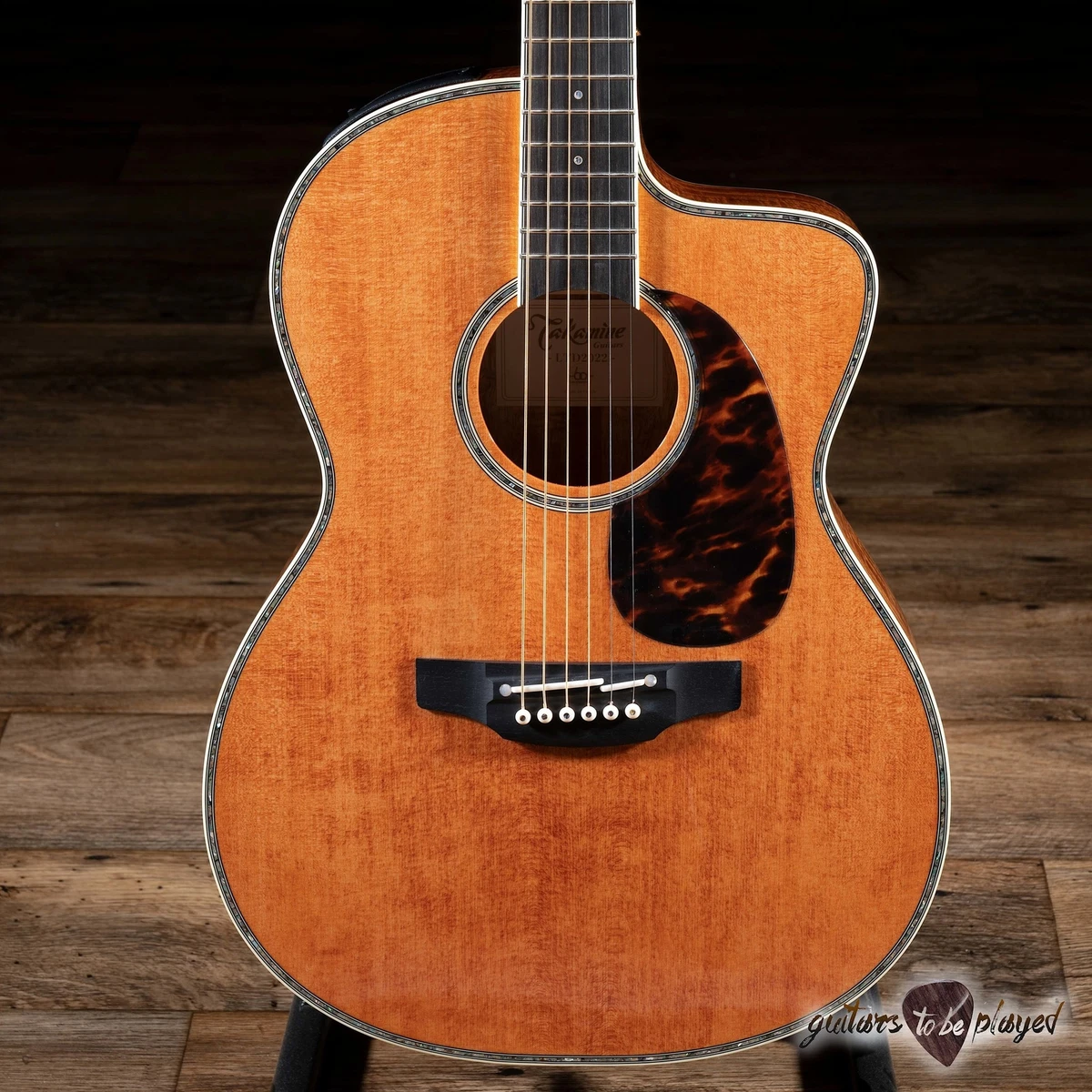 エレアコ タカミネ PT05E 大滝詠一さん 愛用ギター 同モデル