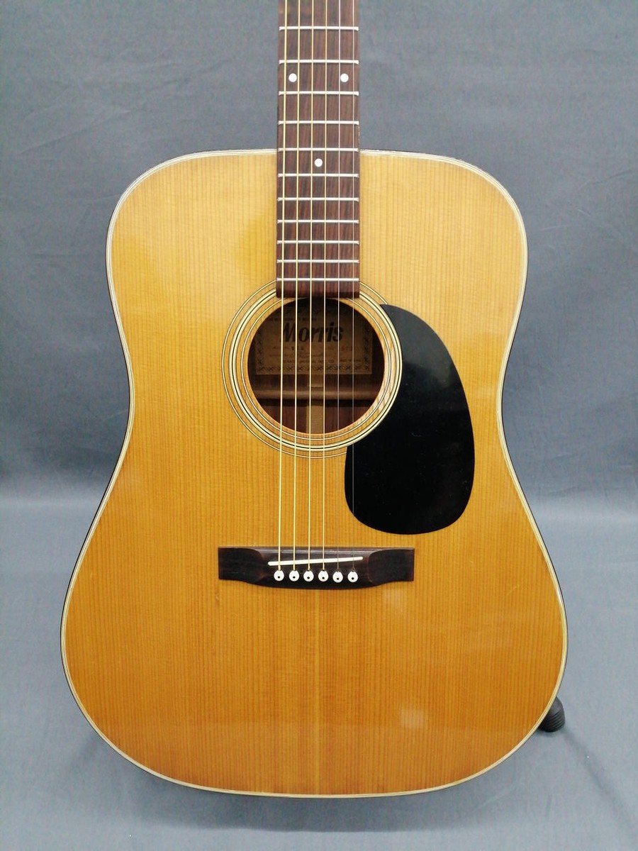 アコースティックギター MORRIS W-18 MORRIS W-18 Acoustic Guitar | eBay