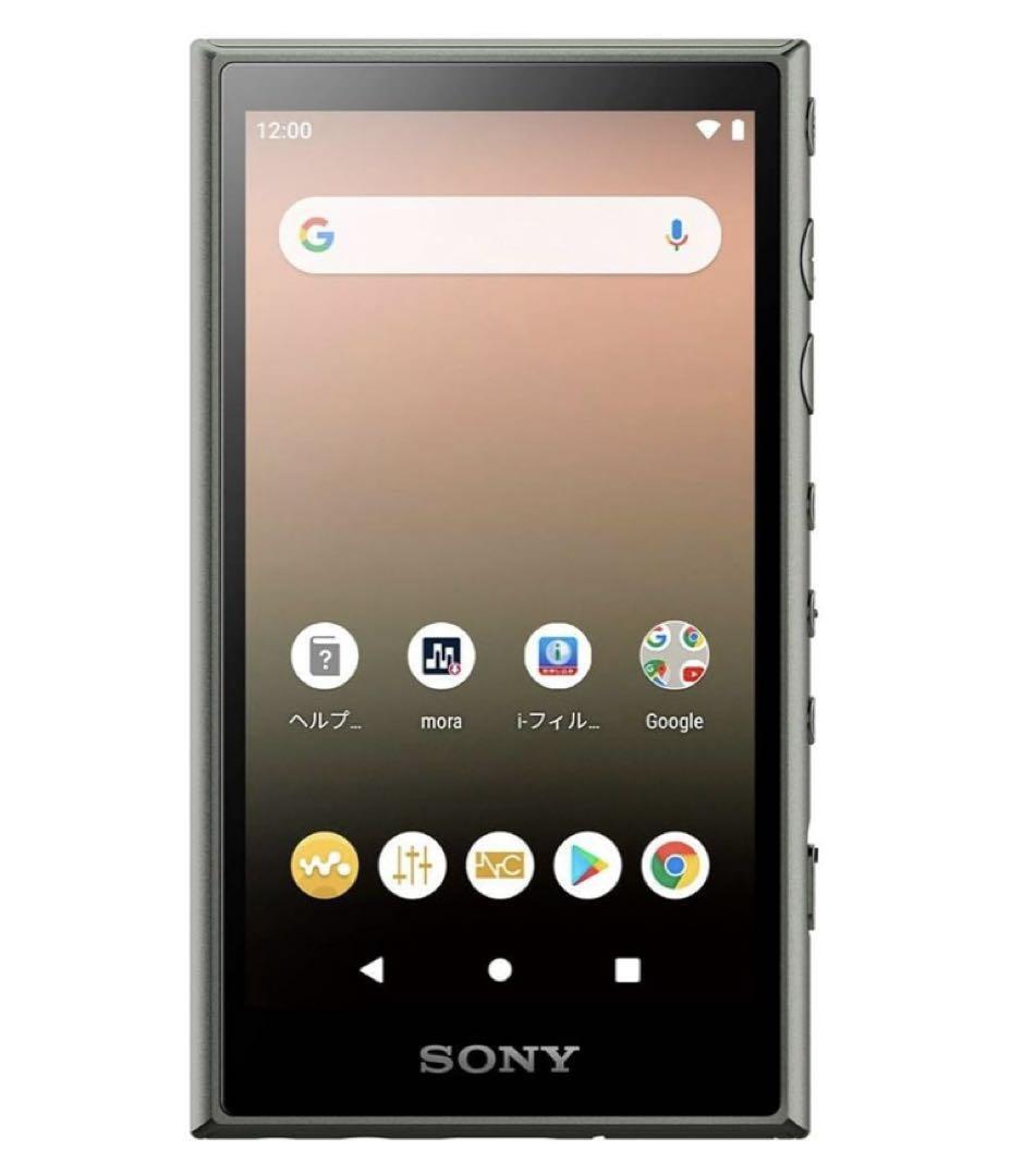 WALKMAN SONY WALKMAN NW-A100 SERIES | eBay