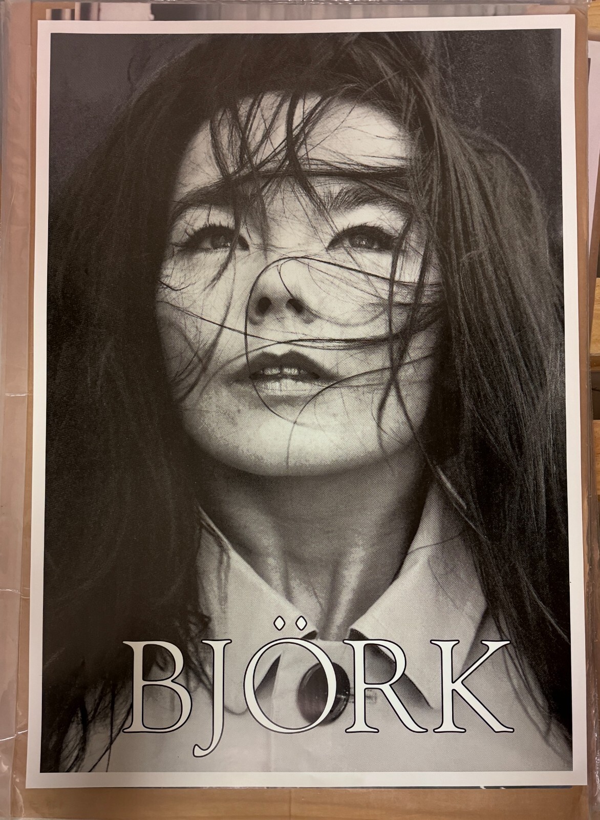 BJÖRK ビョーク bjork デビュー 告知 ポスター B3サイズ Bjork