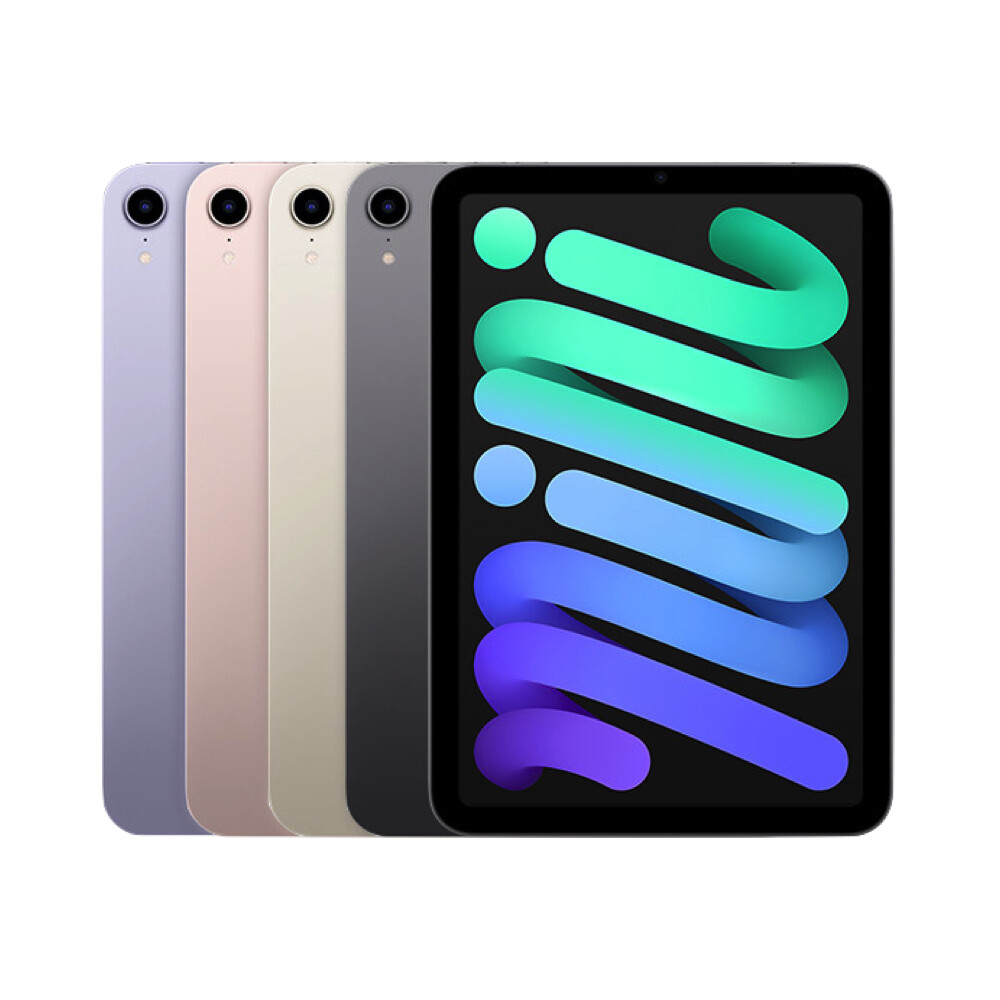 バラ様iPad mini 6 256MB WiFi+Cel simフリー iPadmini6 セルラー