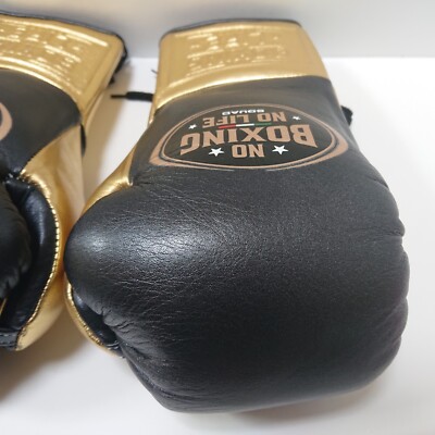 NO BOXING NO LIFE Boxing Gloves 10oz MetallicBlack/Gold Lace-up