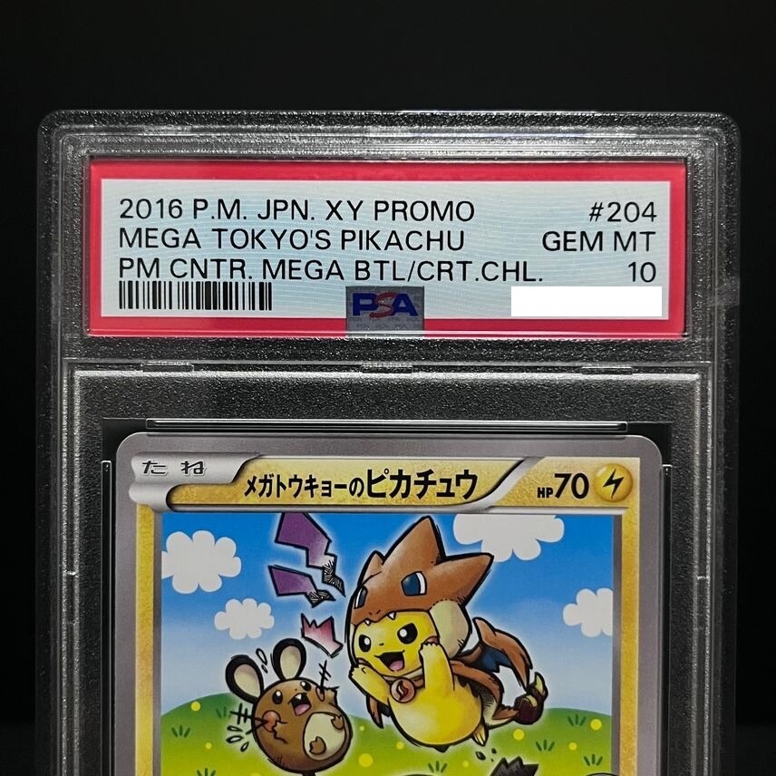 XY-P ピッチのピカチュウ_Jリーグ「ファミリー Joinデイズ」 笑顔版