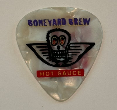 Aerosmith エアロスミス Joe Perry 2019 J ギターピック Aerosmith