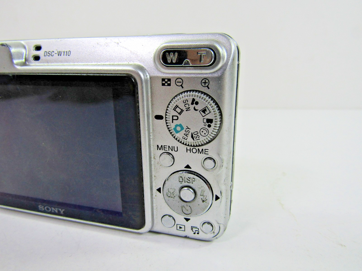 Sony Cyber-Shot DSC-W110 Digital Camera 7.0 MP Silver | eBay