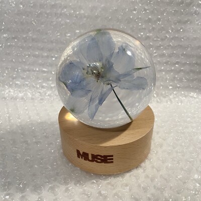JIMIN MUSE PaperWeight ペーパーウェイト