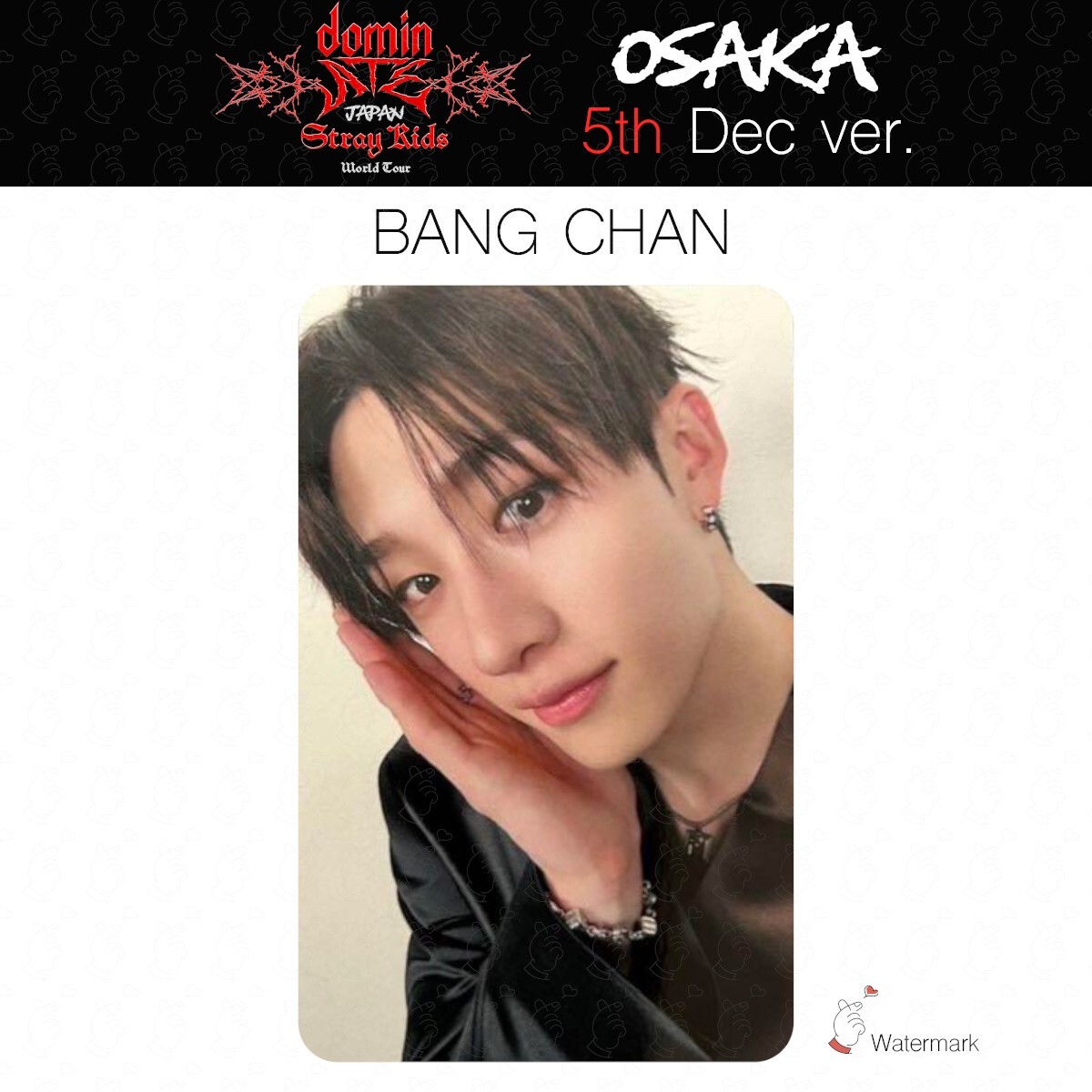 Stray Kids Tour dominATE JAPAN OSAKA Date limited photocard GIANT