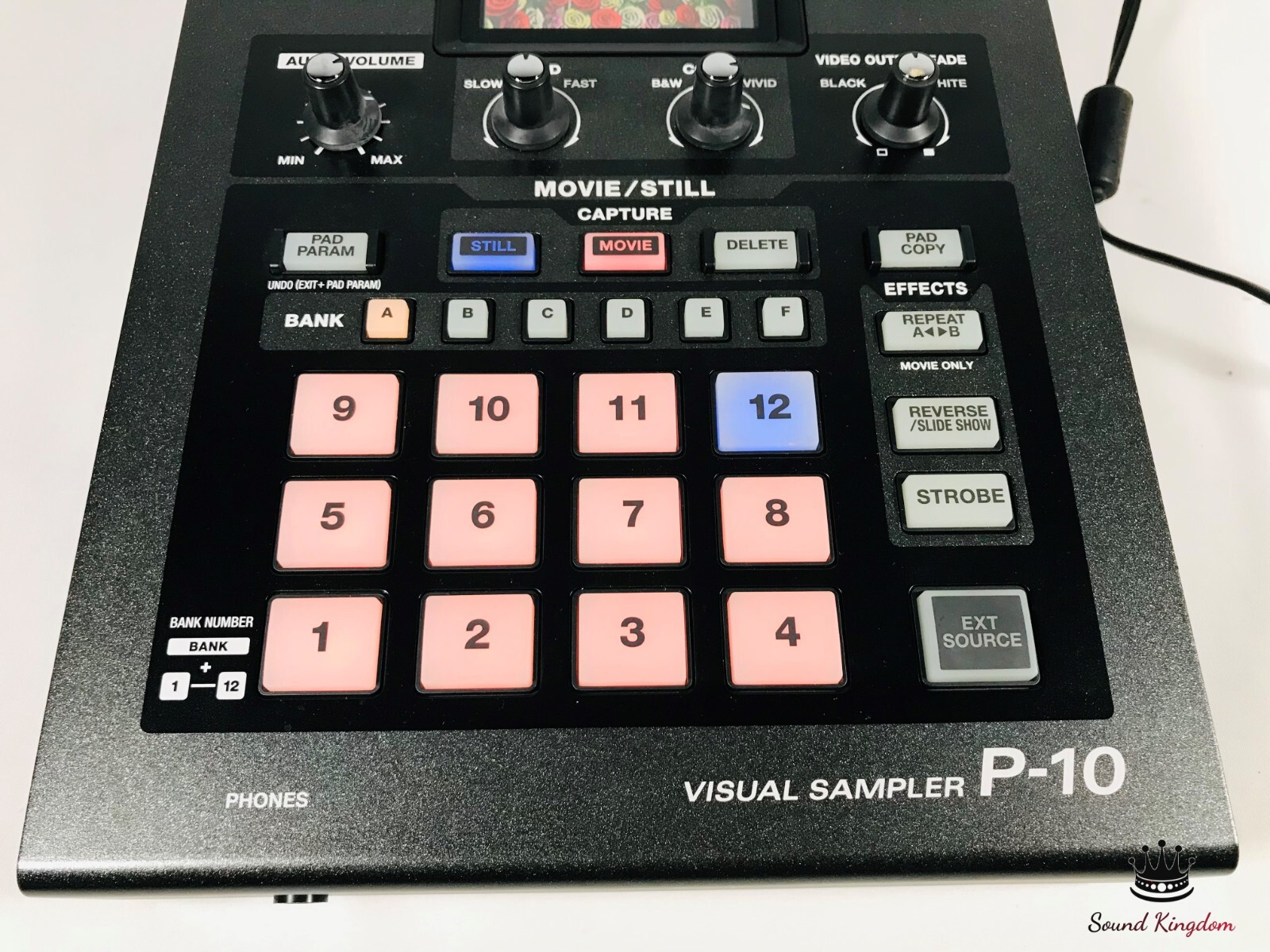 EDIROL ROLAND P-10 ビジュアルサンプラー VJ機材 EDIROL ROLAND P-10