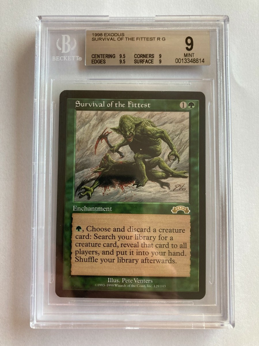 MTG 適者生存 (再録禁止カード)