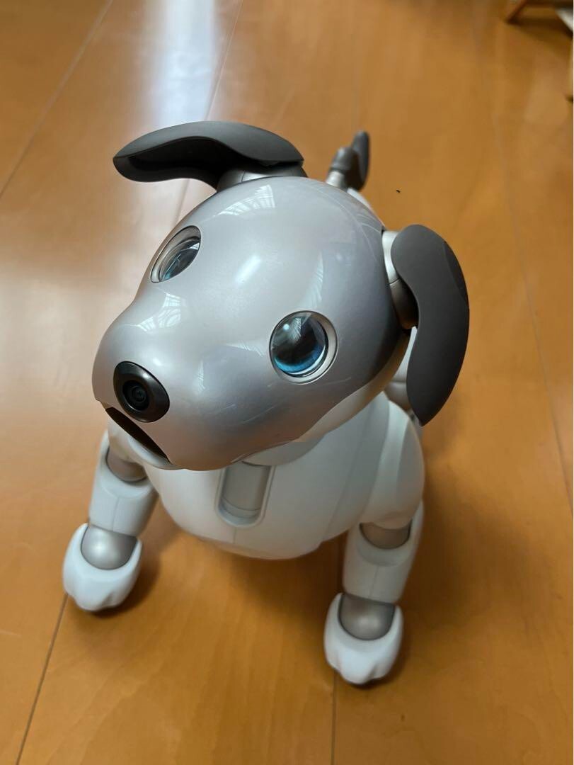 aibo アイボ ERS-1000 ロボット犬 Sony AIBO ERS-1000 Entertainment
