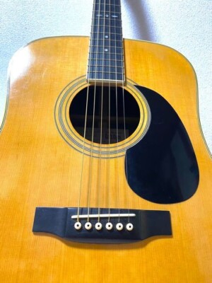 Tokai Cat'S Eyes Ce-250 Acoustic Guitar With Soft Case CE250 | eBay