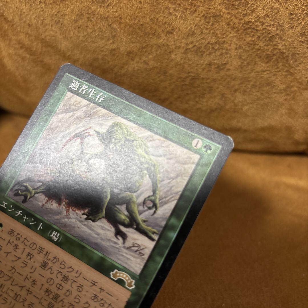 適者生存 日語 プレイ用 適者生存※一枚です。 適者生存Survival of the