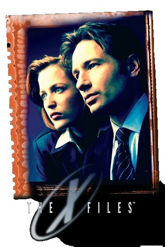 X-Girl Kotao Poster Blue Tomozawa A2 | eBay