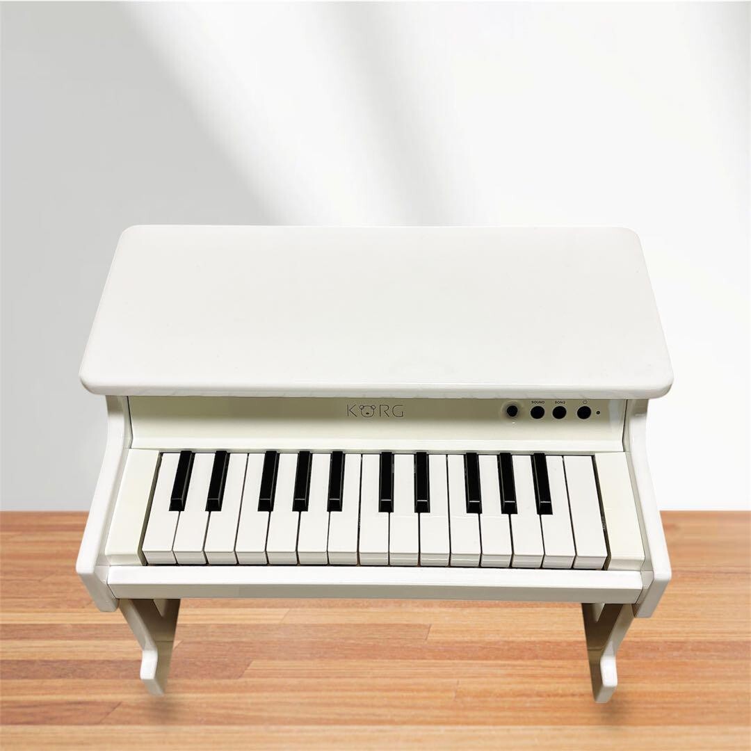 KORG tinyPIANO ピンク トイピアノ 【生産終了品】 コルグ KORG