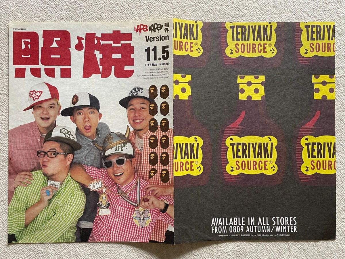 A BATHING APE BAPE Paper 11.5 Flyer Poster Pinup Very Rare Japan